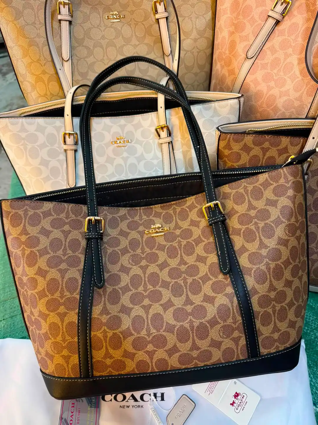 Coach Signature Tote Bag